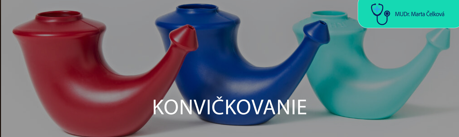 Konvičkovanie